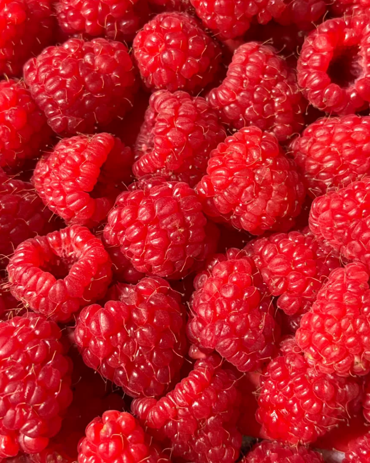 A close-up pile of fresh, ripe red raspberries filling the entire frame.