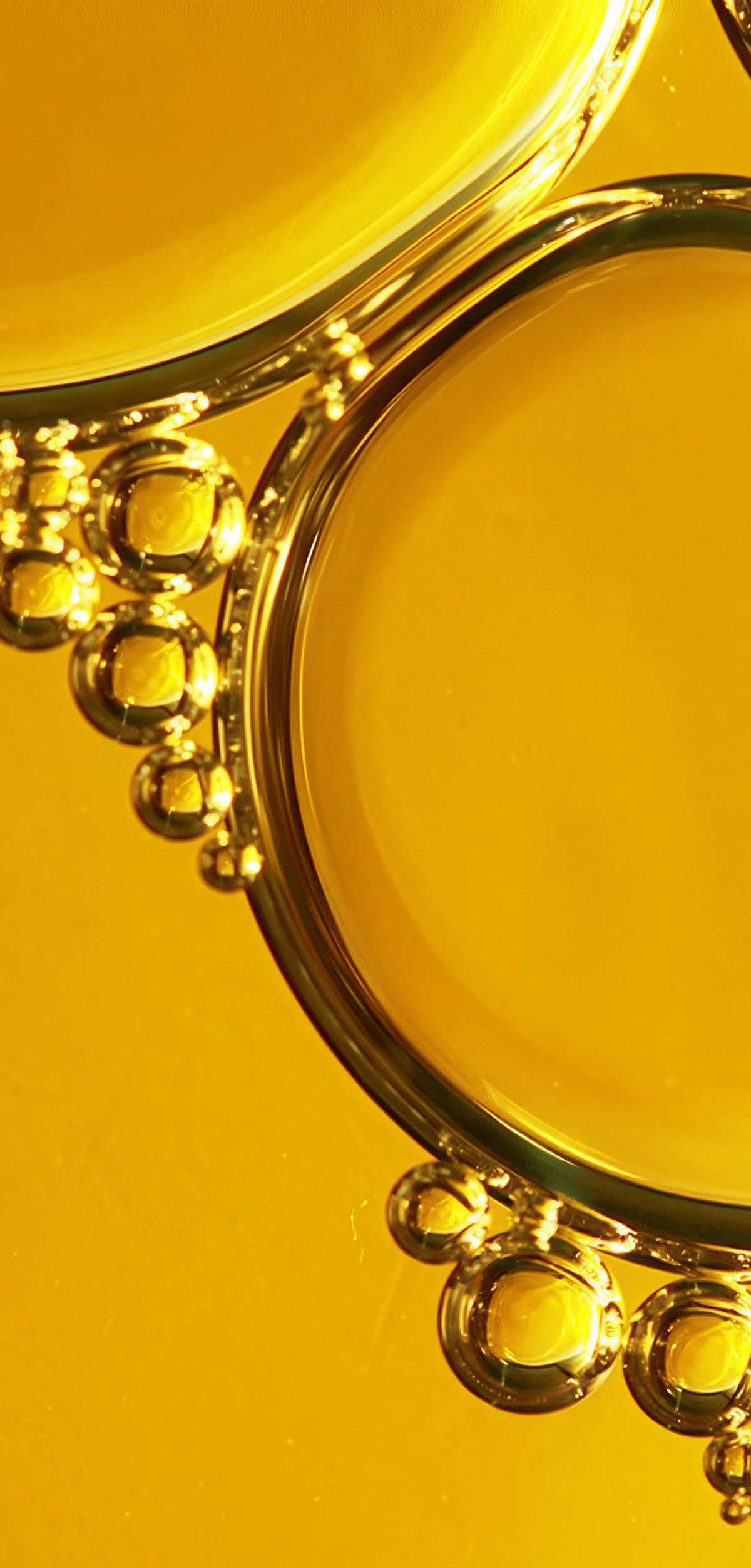 Close-up of golden jojoba oil bubbles